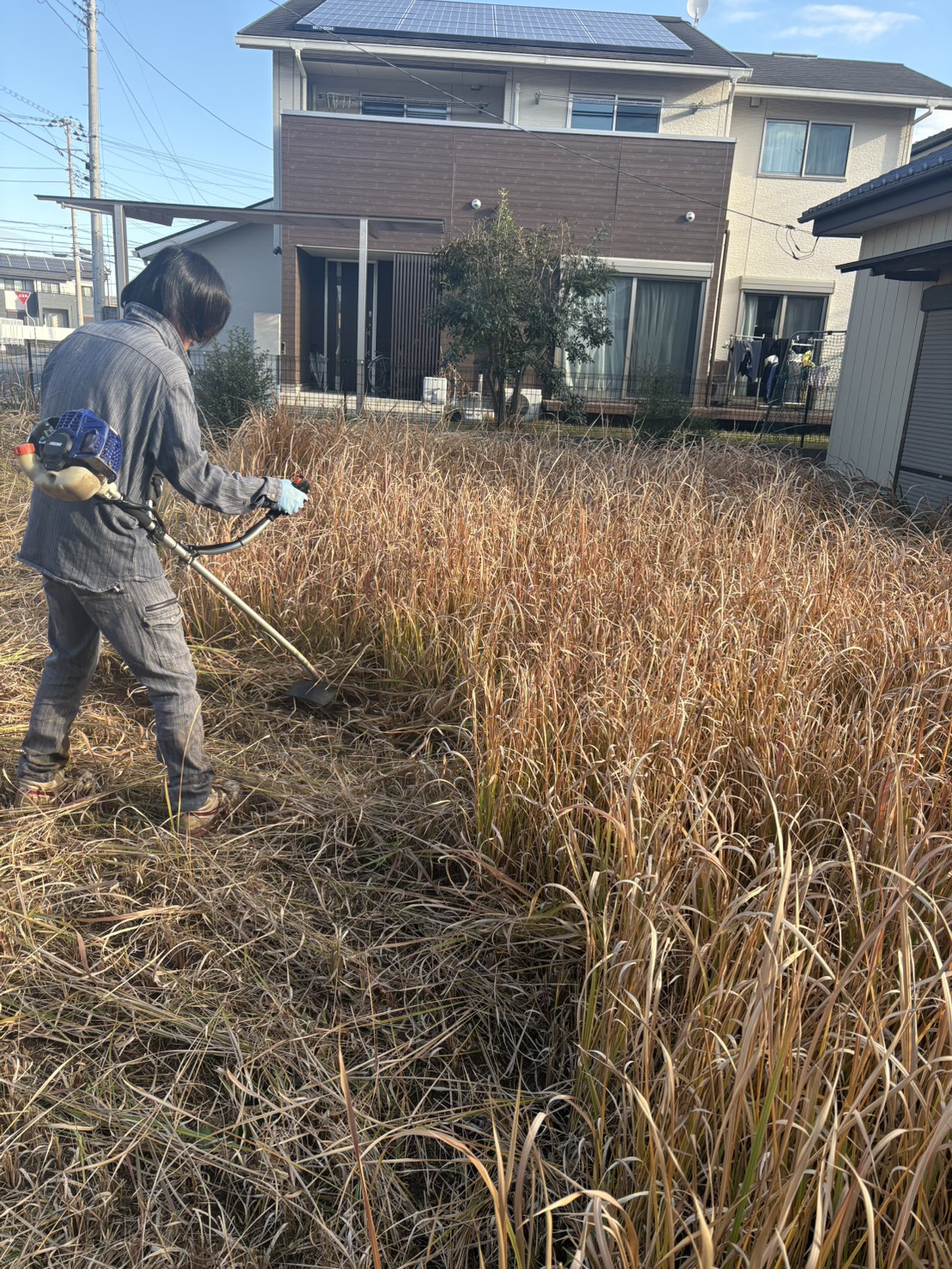 茨城県石岡市　草刈り
